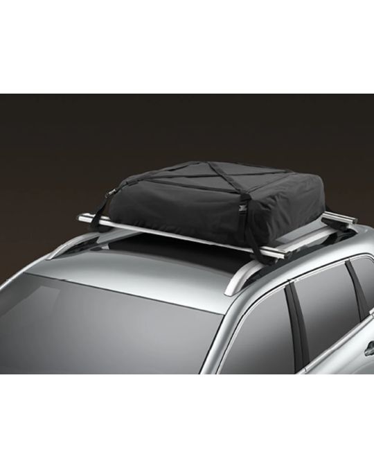 Genuine Mopar Roof Cargo Carrier