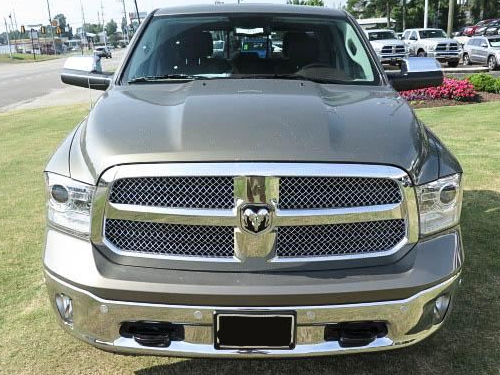 Genuine Mopar Grille Chrome Mesh